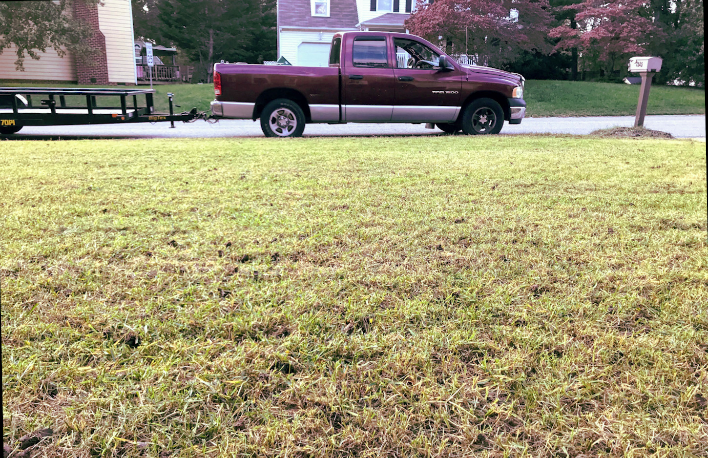 Master's Touch Carpet Care Dry Cleaning Carpets Since 1983